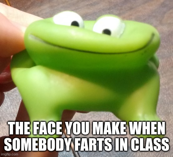 Froggg | THE FACE YOU MAKE WHEN SOMEBODY FARTS IN CLASS | image tagged in froggg | made w/ Imgflip meme maker