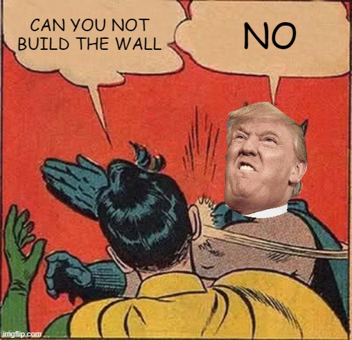 Batman Slapping Robin | CAN YOU NOT BUILD THE WALL; NO | image tagged in memes,batman slapping robin | made w/ Imgflip meme maker