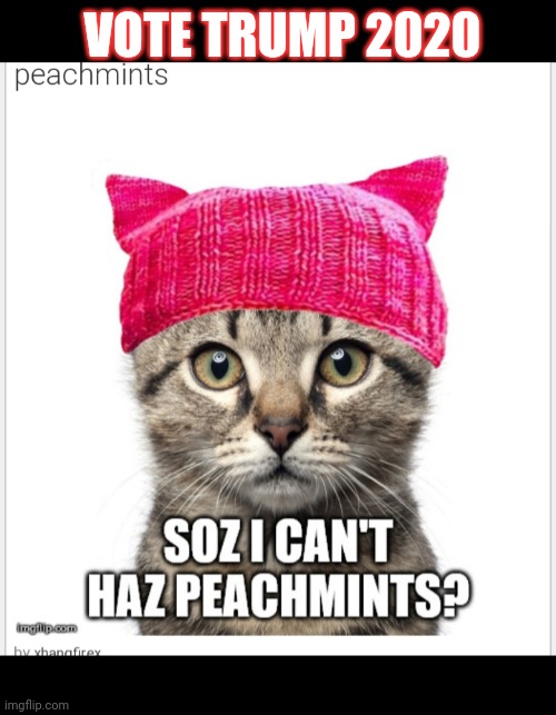 Peachmints | VOTE TRUMP 2020 | image tagged in vote,trump 2020,democrats,suck | made w/ Imgflip meme maker