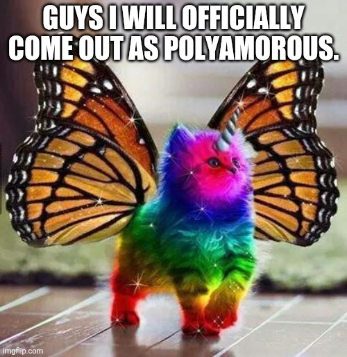 Rainbow unicorn butterfly kitten | GUYS I WILL OFFICIALLY COME OUT AS POLYAMOROUS. | image tagged in rainbow unicorn butterfly kitten | made w/ Imgflip meme maker