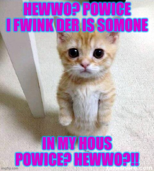 Hewo? | HEWWO? POWICE I FWINK DER IS SOMONE; IN MY HOUS POWICE? HEWWO?!! | image tagged in memes,cute cat | made w/ Imgflip meme maker