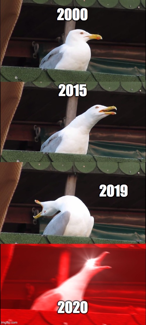 ha | 2000; 2015; 2019; 2020 | image tagged in memes,inhaling seagull | made w/ Imgflip meme maker