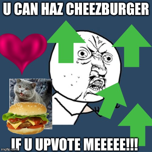 Upvote, pls! | U CAN HAZ CHEEZBURGER; IF U UPVOTE MEEEEE!!! | image tagged in memes,y u no | made w/ Imgflip meme maker