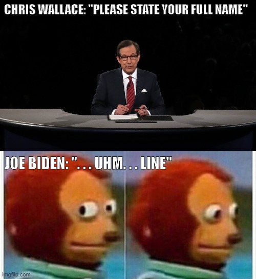 CHRIS WALLACE: "PLEASE STATE YOUR FULL NAME" JOE BIDEN: ". . . UHM. . . LINE" | made w/ Imgflip meme maker