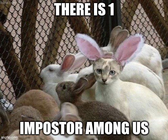 Yes sir its clear that the cat is not a bunny |  THERE IS 1; IMPOSTOR AMONG US | image tagged in cat bunny ears imposter | made w/ Imgflip meme maker