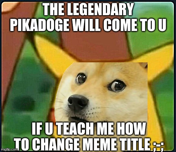 Pls. | THE LEGENDARY PIKADOGE WILL COME TO U; IF U TEACH ME HOW TO CHANGE MEME TITLE ;-; | image tagged in pikachu | made w/ Imgflip meme maker