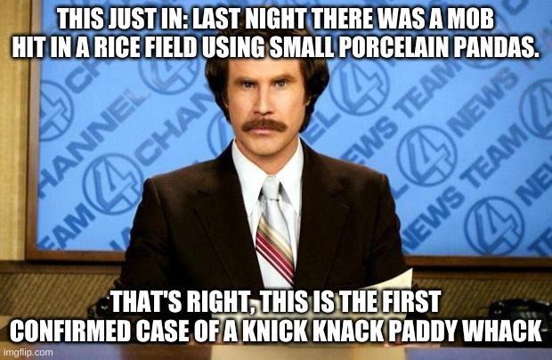 BREAKING NEWS | THIS JUST IN: LAST NIGHT THERE WAS A MOB HIT IN A RICE FIELD USING SMALL PORCELAIN PANDAS. THAT'S RIGHT, THIS IS THE FIRST CONFIRMED CASE OF A KNICK KNACK PADDY WHACK | image tagged in breaking news | made w/ Imgflip meme maker
