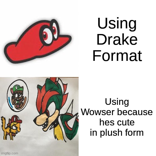 Wowser, like fighting | Using Drake Format; Using Wowser because hes cute in plush form | image tagged in bowser,drake hotline bling | made w/ Imgflip meme maker