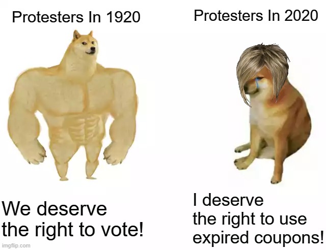 karen... | Protesters In 2020; Protesters In 1920; We deserve the right to vote! I deserve the right to use expired coupons! | image tagged in buff doge vs cheems | made w/ Imgflip meme maker