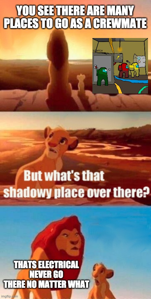Simba Shadowy Place | YOU SEE THERE ARE MANY PLACES TO GO AS A CREWMATE; THATS ELECTRICAL NEVER GO THERE NO MATTER WHAT | image tagged in memes,simba shadowy place | made w/ Imgflip meme maker
