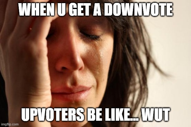 First World Problems | WHEN U GET A DOWNVOTE; UPVOTERS BE LIKE... WUT | image tagged in memes,first world problems | made w/ Imgflip meme maker