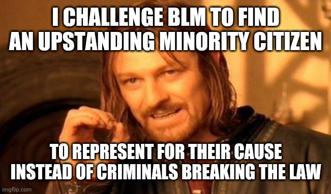 One Does Not Simply | I CHALLENGE BLM TO FIND AN UPSTANDING MINORITY CITIZEN; TO REPRESENT FOR THEIR CAUSE INSTEAD OF CRIMINALS BREAKING THE LAW | image tagged in memes,one does not simply | made w/ Imgflip meme maker