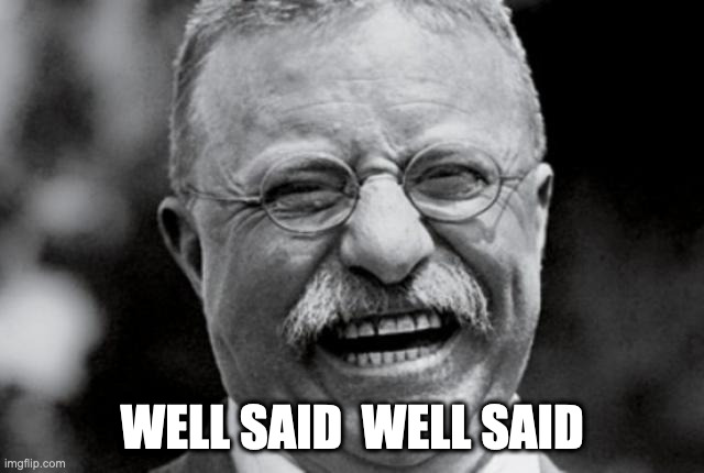 Teddy Roosevelt Laugh | WELL SAID  WELL SAID | image tagged in teddy roosevelt laugh | made w/ Imgflip meme maker