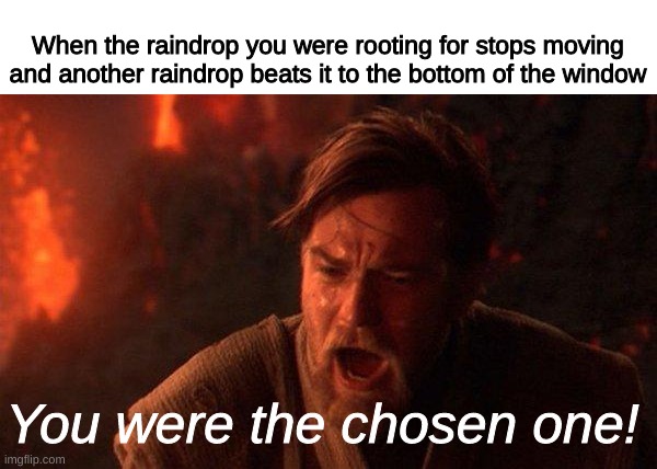 AGHHHHHHHHHH |  When the raindrop you were rooting for stops moving and another raindrop beats it to the bottom of the window; You were the chosen one! | image tagged in memes,you were the chosen one star wars | made w/ Imgflip meme maker