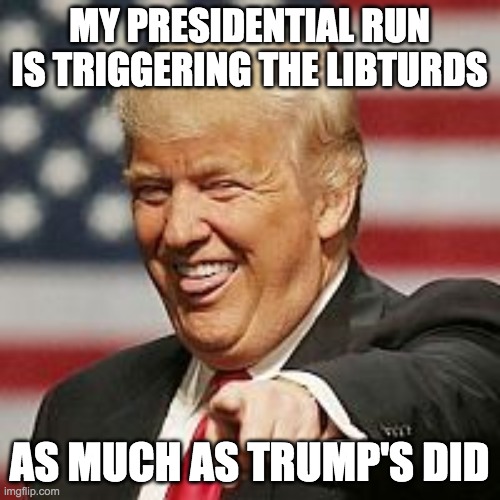 Trump Laughing | MY PRESIDENTIAL RUN IS TRIGGERING THE LIBTURDS AS MUCH AS TRUMP'S DID | image tagged in trump laughing | made w/ Imgflip meme maker