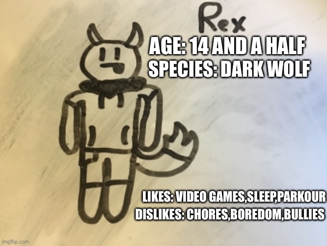 (My first oc) Can someone draw him with color? | AGE: 14 AND A HALF; SPECIES: DARK WOLF; LIKES: VIDEO GAMES,SLEEP,PARKOUR; DISLIKES: CHORES,BOREDOM,BULLIES | image tagged in oc,drawing | made w/ Imgflip meme maker