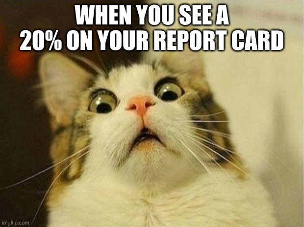 20% report card |  WHEN YOU SEE A 20% ON YOUR REPORT CARD | image tagged in memes,scared cat | made w/ Imgflip meme maker