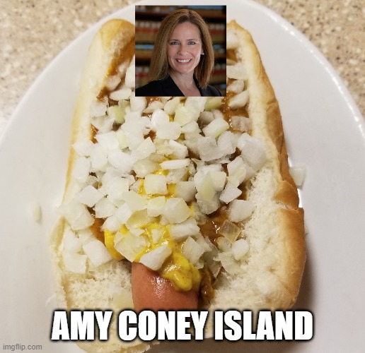 Amy Coney Island | AMY CONEY ISLAND | image tagged in memes | made w/ Imgflip meme maker