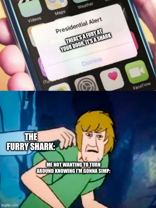 on no my crush | THERE'S A FURY AT YOUR DOOR, IT'S A SHARK; THE FURRY SHARK:; ME NOT WANTING TO TURN AROUND KNOWING I'M GONNA SIMP: | image tagged in shaggy meme,memes,presidential alert,dank memes,furries | made w/ Imgflip meme maker