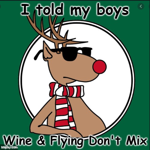 Rudolf Says | I told my boys; Wine & Flying Don't Mix | image tagged in wine,safe driving | made w/ Imgflip meme maker