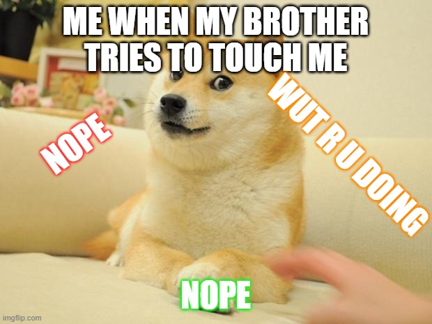 Doge 2 | ME WHEN MY BROTHER TRIES TO TOUCH ME; NOPE; WUT R U DOING; NOPE | image tagged in memes,doge 2 | made w/ Imgflip meme maker