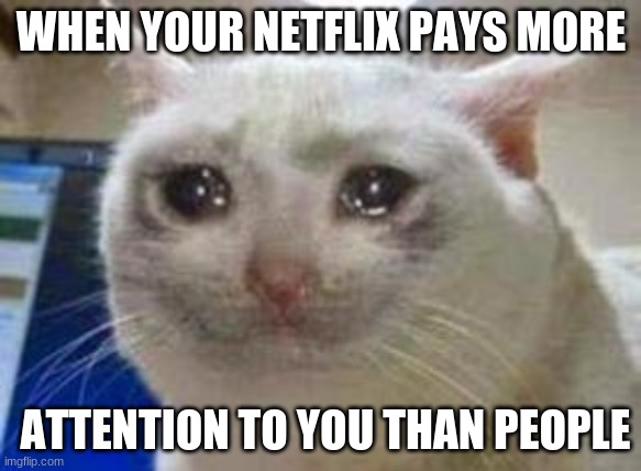 Sad cat | WHEN YOUR NETFLIX PAYS MORE; ATTENTION TO YOU THAN PEOPLE | image tagged in sad cat | made w/ Imgflip meme maker