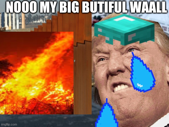 donald trump has a meltdown | NOOO MY BIG BUTIFUL WAALL | image tagged in donald trump the clown | made w/ Imgflip meme maker