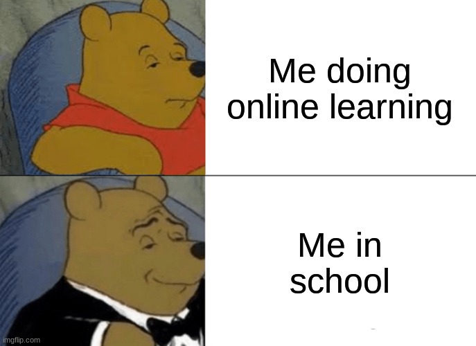 Tuxedo Winnie The Pooh | Me doing online learning; Me in school | image tagged in memes,tuxedo winnie the pooh | made w/ Imgflip meme maker
