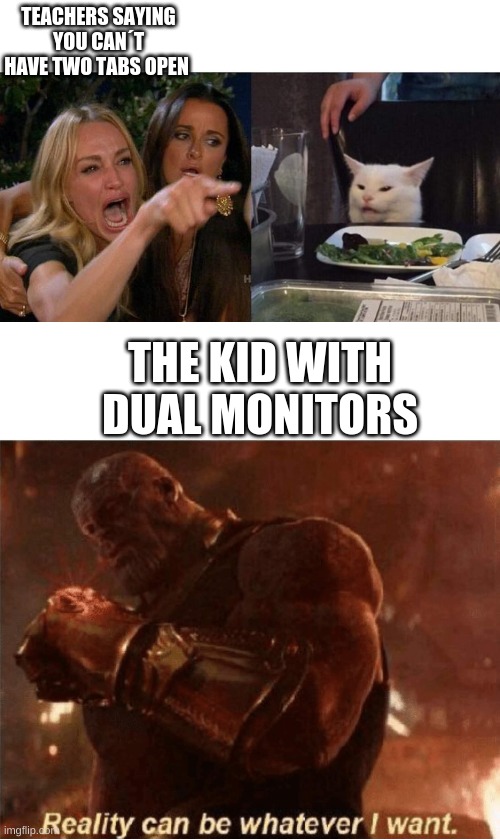 TEACHERS SAYING YOU CAN´T HAVE TWO TABS OPEN; THE KID WITH DUAL MONITORS | image tagged in reality can be whatever i want,memes,woman yelling at cat | made w/ Imgflip meme maker