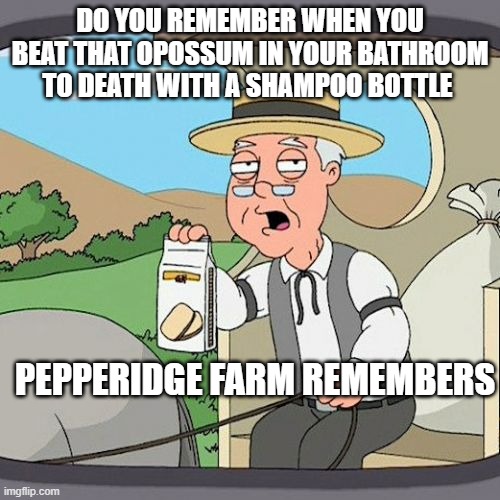 Dank Meme | DO YOU REMEMBER WHEN YOU BEAT THAT OPOSSUM IN YOUR BATHROOM TO DEATH WITH A SHAMPOO BOTTLE; PEPPERIDGE FARM REMEMBERS | image tagged in memes,pepperidge farm remembers,dank memes | made w/ Imgflip meme maker