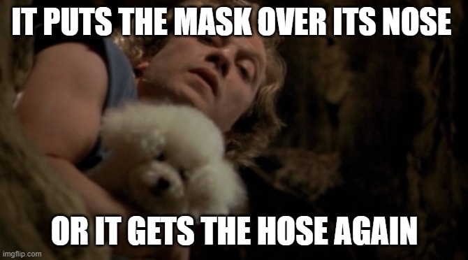 Buffalo Bill wants you to cover your nose | IT PUTS THE MASK OVER ITS NOSE; OR IT GETS THE HOSE AGAIN | image tagged in silence of the lambs lotion | made w/ Imgflip meme maker
