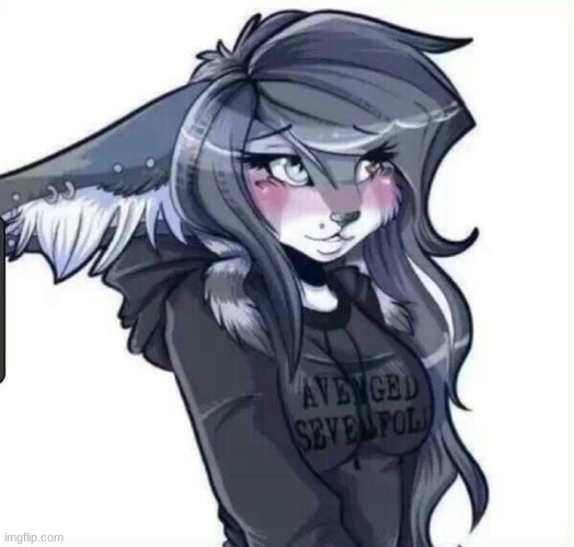Furry | made w/ Imgflip meme maker