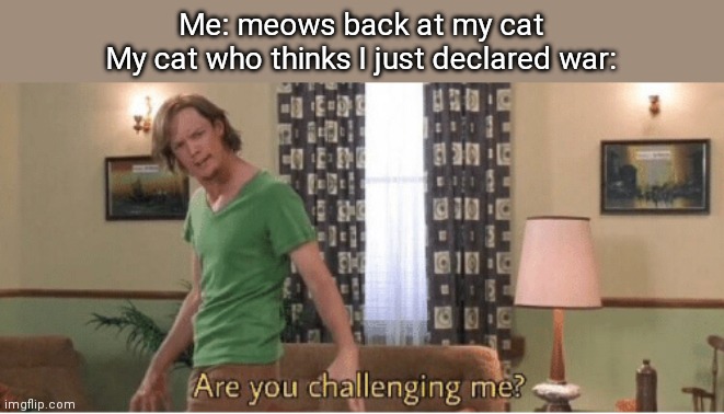 are you challenging me | Me: meows back at my cat
My cat who thinks I just declared war: | image tagged in are you challenging me | made w/ Imgflip meme maker