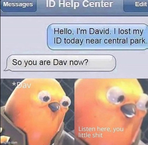 Well hello, Dav! | image tagged in texting,listen here you little shit bird | made w/ Imgflip meme maker