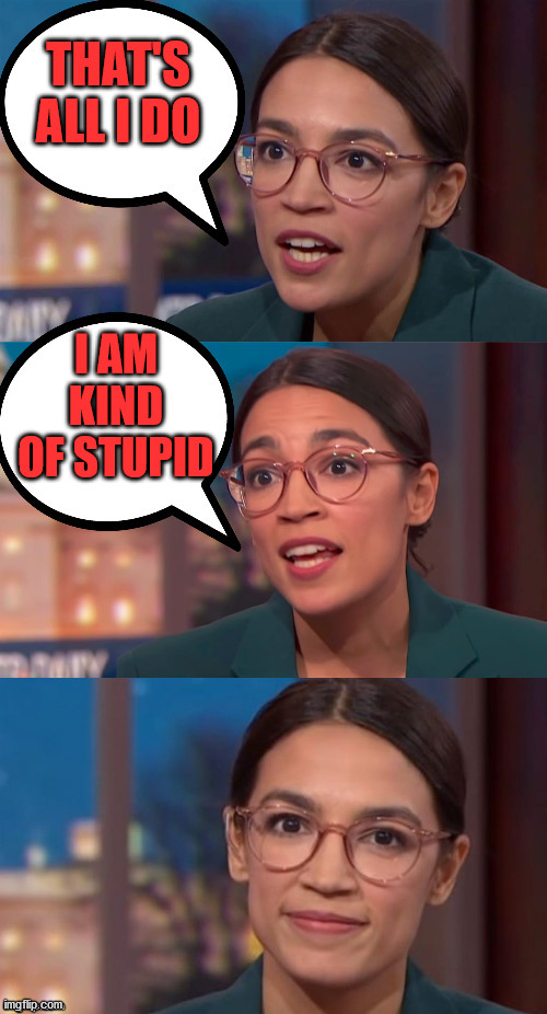 aoc dialog | THAT'S ALL I DO I AM KIND OF STUPID | image tagged in aoc dialog | made w/ Imgflip meme maker