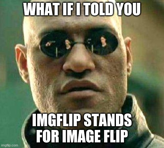What if I told you | WHAT IF I TOLD YOU; IMGFLIP STANDS FOR IMAGE FLIP | image tagged in what if i told you,memes,imgflip,meme,lol,change my mind | made w/ Imgflip meme maker