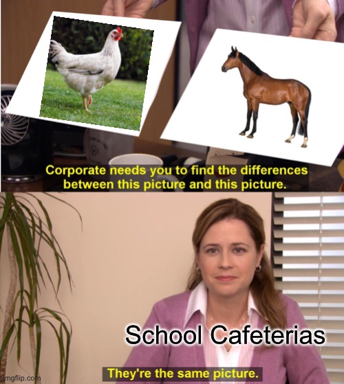 Chicken vs. Horse | School Cafeterias | image tagged in memes,they're the same picture | made w/ Imgflip meme maker