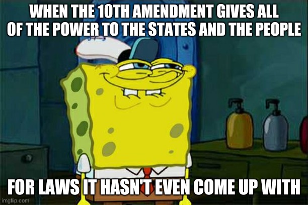 Don't You Squidward Meme | WHEN THE 10TH AMENDMENT GIVES ALL OF THE POWER TO THE STATES AND THE PEOPLE; FOR LAWS IT HASN'T EVEN COME UP WITH | image tagged in memes,don't you squidward | made w/ Imgflip meme maker