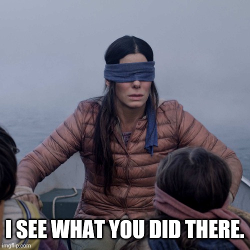 Bird Box Meme | I SEE WHAT YOU DID THERE. | image tagged in memes,bird box | made w/ Imgflip meme maker