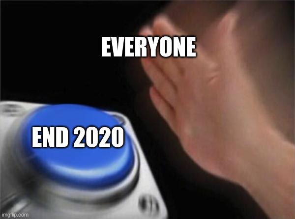 Blank Nut Button | EVERYONE; END 2020 | image tagged in memes,blank nut button | made w/ Imgflip meme maker