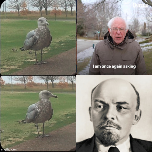 Seagull says Lenin is better than Bernie by a mile | made w/ Imgflip meme maker