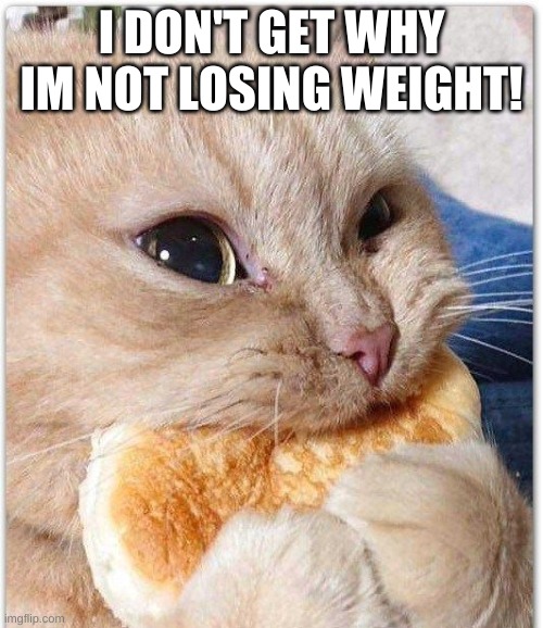 hji | I DON'T GET WHY IM NOT LOSING WEIGHT! | image tagged in funny | made w/ Imgflip meme maker