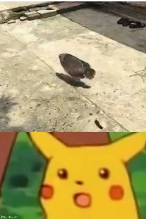 What on earth | image tagged in memes,surprised pikachu,wtf | made w/ Imgflip meme maker