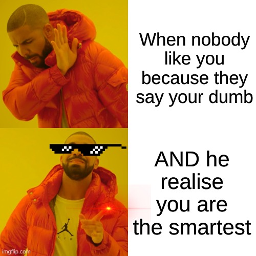 Drake Hotline Bling Meme | When nobody like you because they say your dumb; AND he realise you are the smartest | image tagged in memes,drake hotline bling | made w/ Imgflip meme maker
