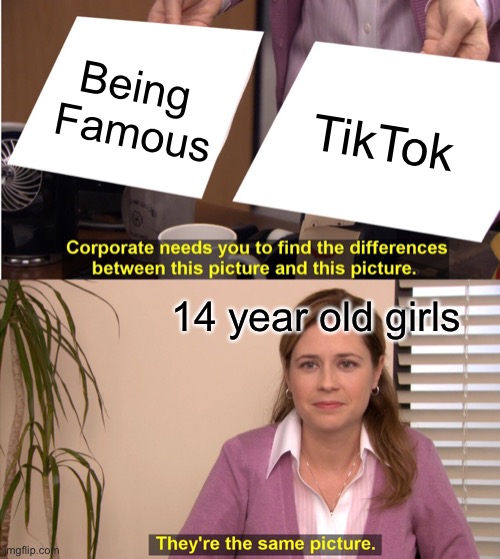 #bantiktok | Being 
Famous; TikTok; 14 year old girls | image tagged in memes,they're the same picture | made w/ Imgflip meme maker