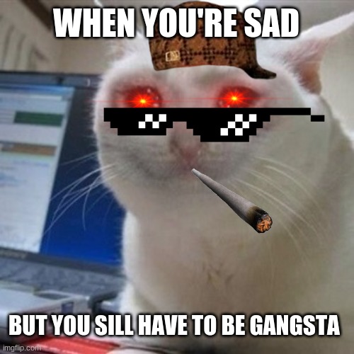 Crying cat | WHEN YOU'RE SAD; BUT YOU SILL HAVE TO BE GANGSTA | image tagged in crying cat | made w/ Imgflip meme maker