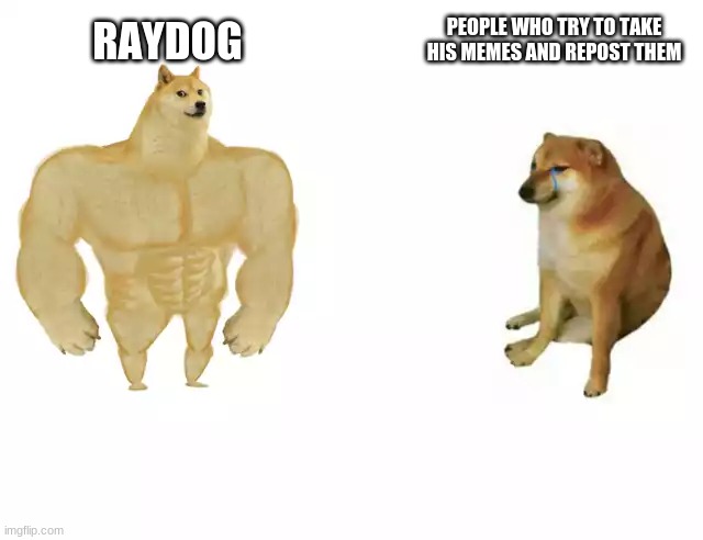 hmmmmmm | PEOPLE WHO TRY TO TAKE HIS MEMES AND REPOST THEM; RAYDOG | image tagged in buff doge vs cheems | made w/ Imgflip meme maker