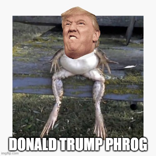 DONALD TRUMP PHROG | image tagged in funny | made w/ Imgflip meme maker