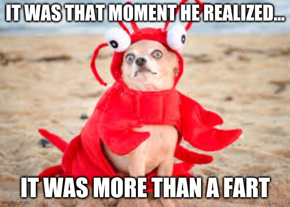 dog crab | IT WAS THAT MOMENT HE REALIZED... IT WAS MORE THAN A FART | image tagged in dogs | made w/ Imgflip meme maker