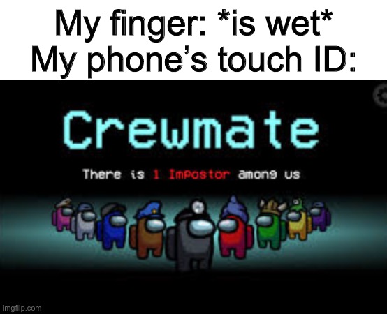 Imposter | My finger: *is wet*
My phone’s touch ID: | image tagged in there is 1 imposter among us,iphone,phone,among us,phones,finger | made w/ Imgflip meme maker